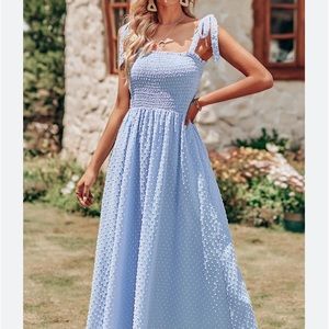 NWOT Pretty Garden Sky Blue Large midi swing dress